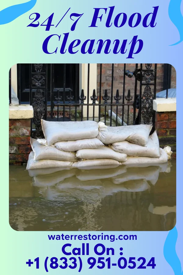 24/7 Flood Cleanup in Floydale, SC