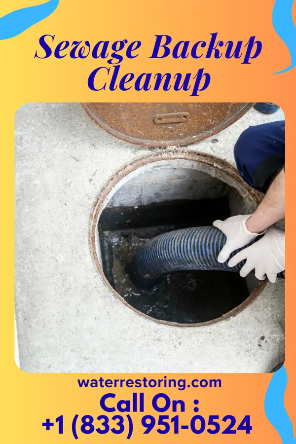 Sewage Backup Cleanup in Floydale, SC