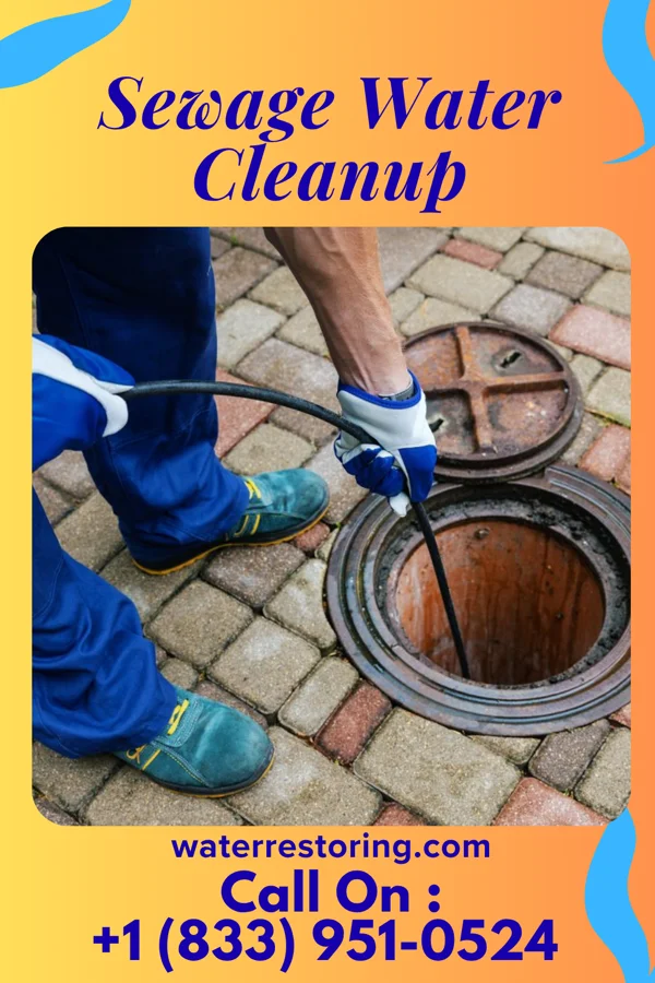 Sewage Water Cleanup in Floydale, SC